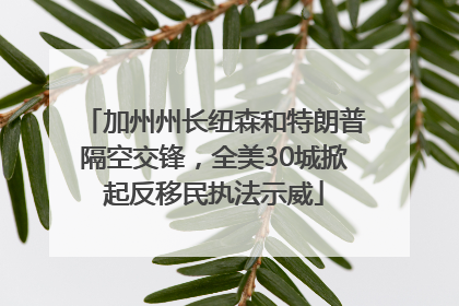 加州州长纽森和特朗普隔空交锋，全美30城掀起反移民执法示威